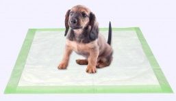 Puppy training pads wholesale in USA for dog indoor